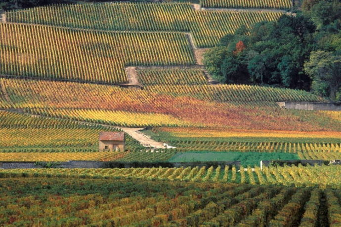 Climats de Bourgogne - Beaune